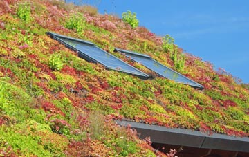 Goatfield living roof systems